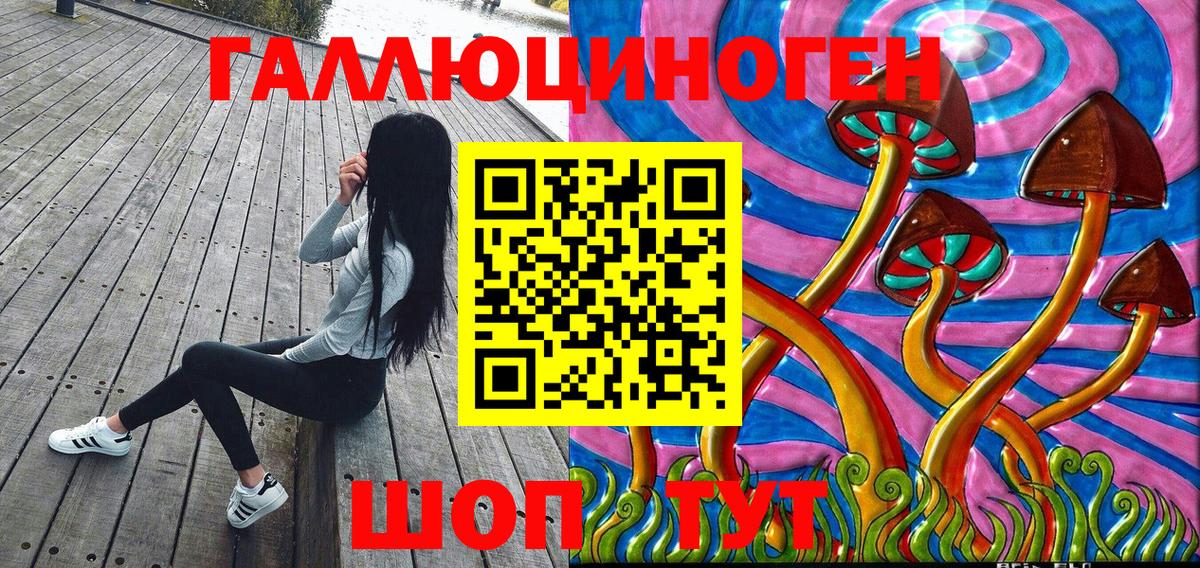 Галлюциногенные грибы Psilocybe Большой Камень