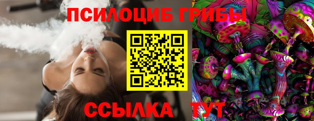 Псилоцибиновые грибы Cubensis  Вход с VPN  Псилоцибиновые грибы Psilocybine cubensis  Большой Камень 